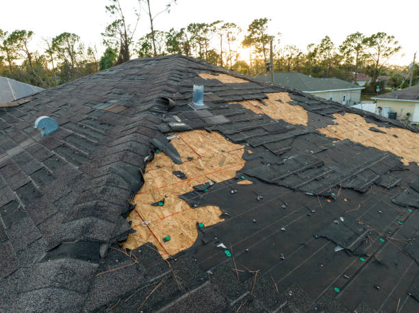 Best 4 Ply Roofing  in Northbrook, IL